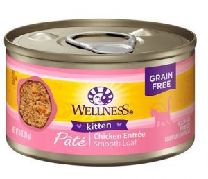 Best Cat Food for Persian Cats: The Ultimate Guide Persian Cat Corner