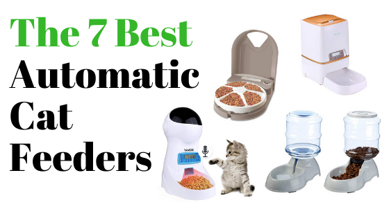 best automatic cat feeder portion control