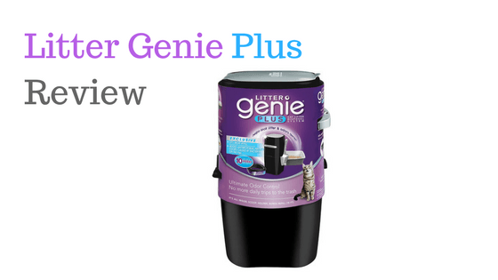 cat litter genie reviews