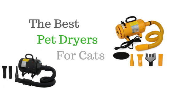 Best Pet dryers for Cats