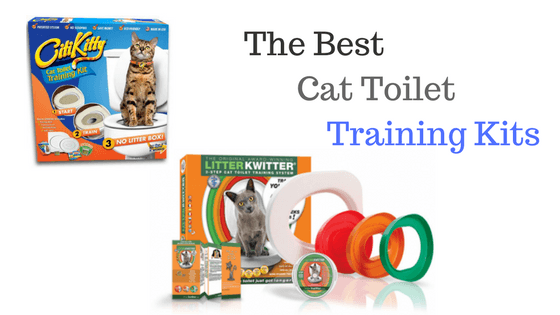 best cat toilet training