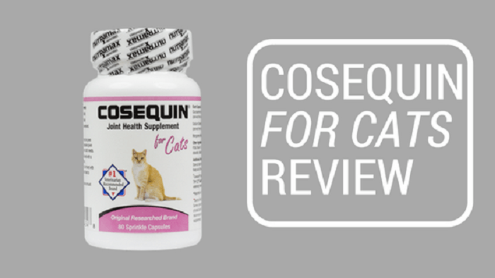 Cosequin For Cats Review