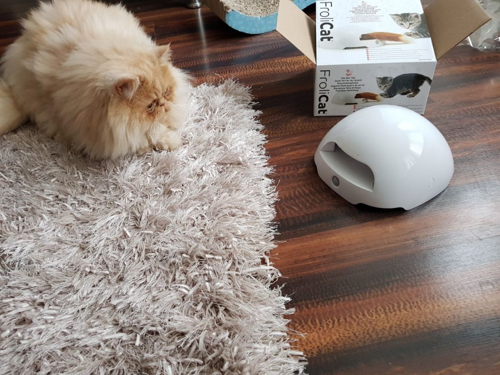 fox den automatic cat toy