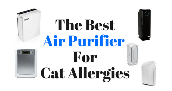 air purifier pollen