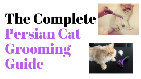 best clippers for persian cats