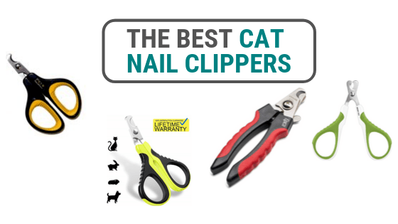 best cat nail clippers