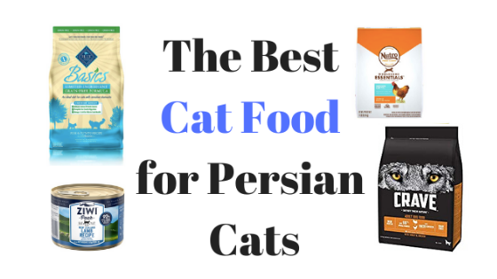 diet for persian cats