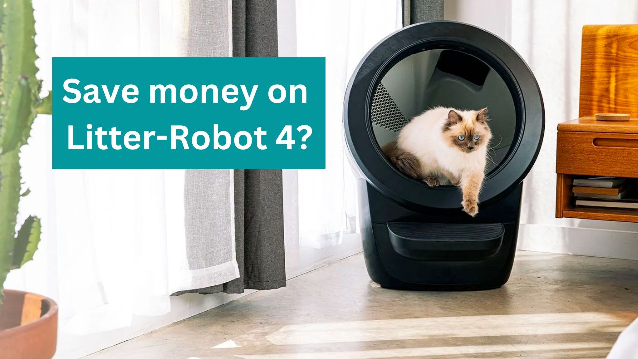 Ways to save money on the new LitterRobot 4 Persian Cat Corner